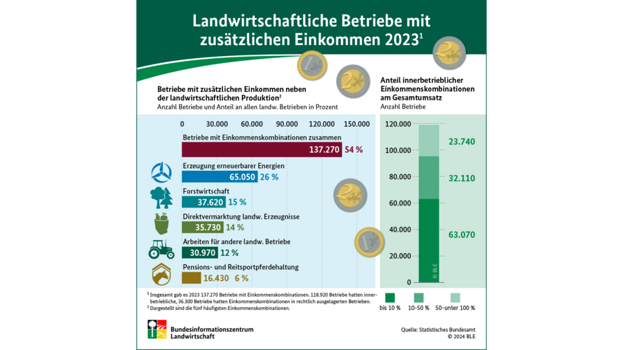 Infografik Einkommenskombinationen