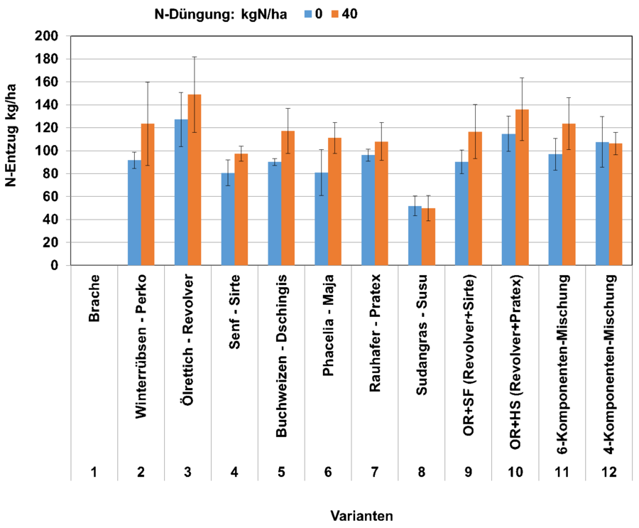 Stickstoffentzüge verschiedener Zwischenfrüchte 