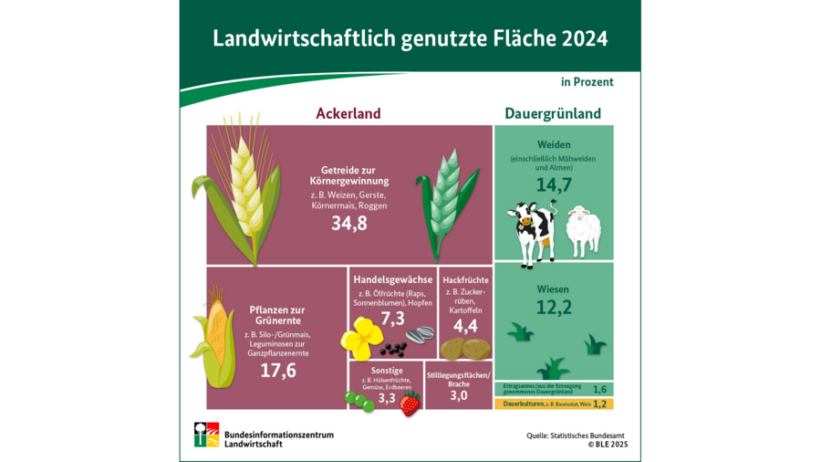 Infografik landwirtschaftliche Flächennutzung