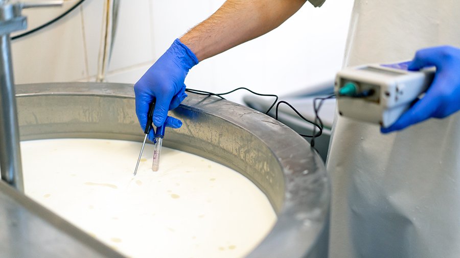 Ein Mitarbeiter mit blauen Gummihandschuhen und Schürze misst mit einem Thermometer die Temperatur von Milch in einem Edelstahlbehälter. 