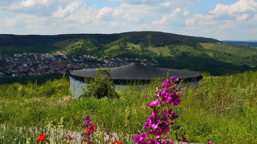 Ein verschlossenes Wassersilo steht mitten im Weinberg.