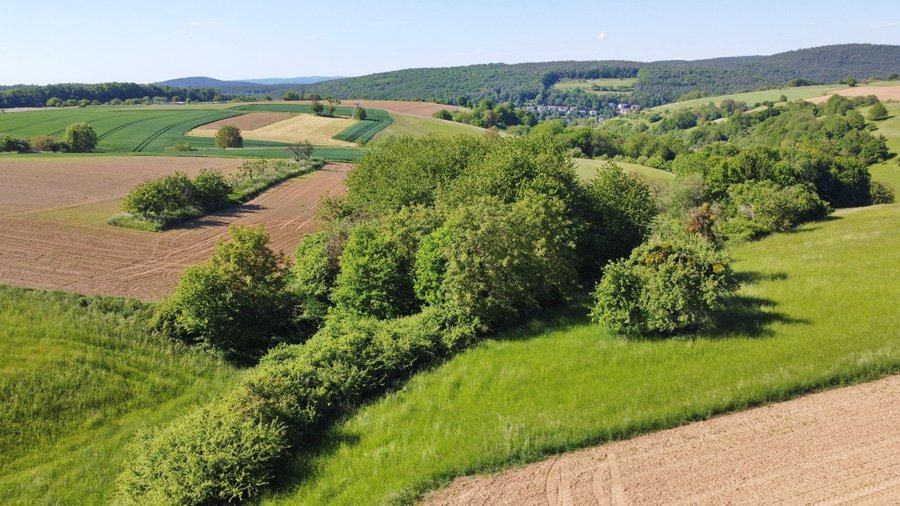 Luftaufnahme einer Agrarlandschaft