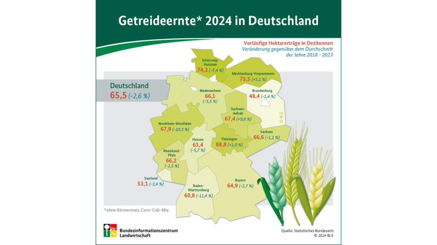 Infografik Getreideernte