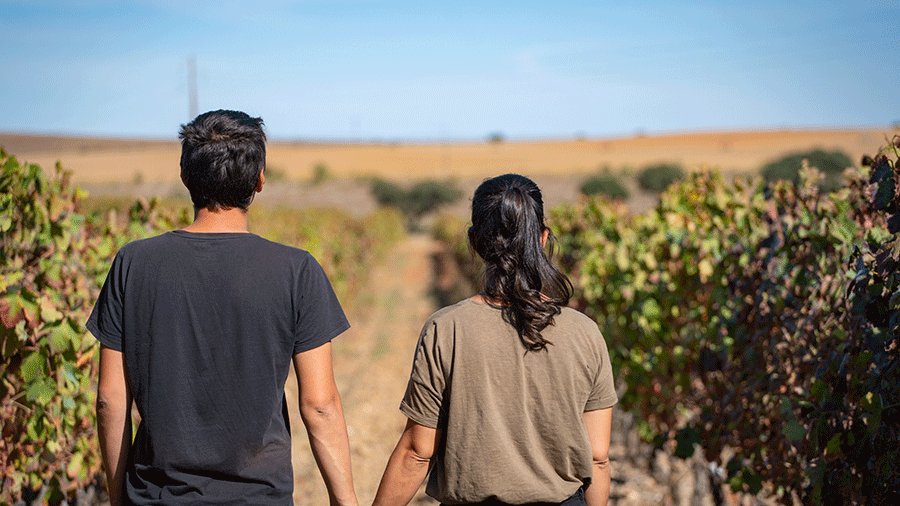 Mann und Frau gehen von der Kamera weg Hand in Hand auf einem Weg durch Weinstöcke. Im Hintergrund verschwommen ein Getreidefeld und blauer Himmel. Bild: Luis – stock.adobe.com