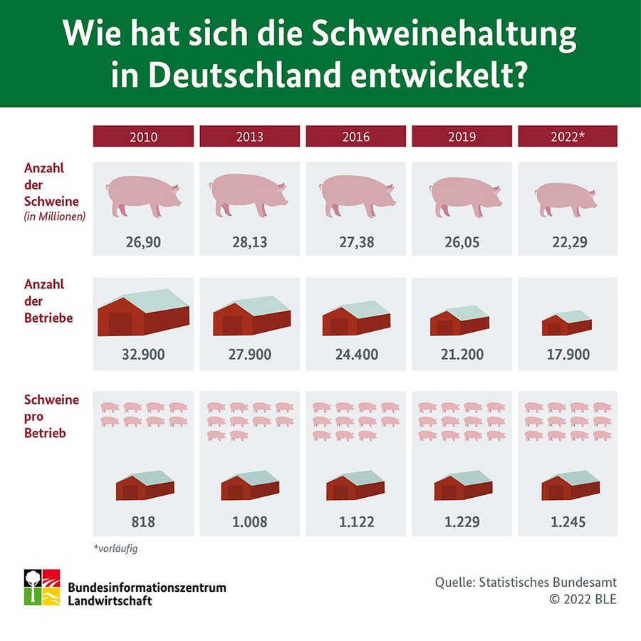 Infografik Schweinehaltung
