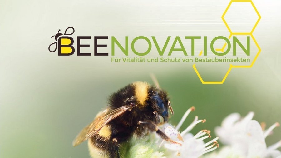 Logo der Vernetzungs- und Transfermaßnahme „Beenovation“ darunter eine Hummel auf einer Blüte