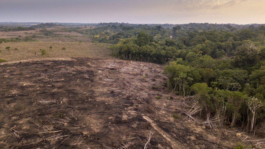 Das Bild zeigt eine große, für den Anbau landwirtschaftlicher Produkte entwaldete Fläche, auf der zuvor Tropenwald wuchs. 