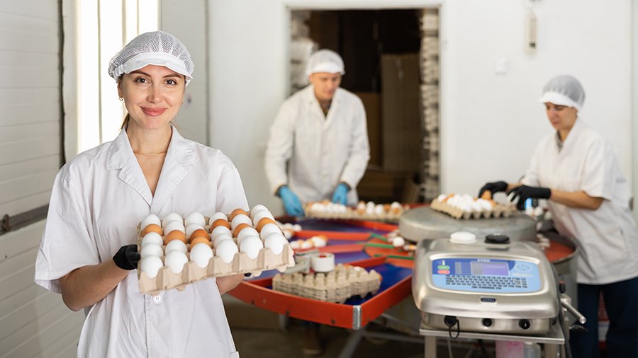 Drei Personen beim Abpacken von Eiern auf Dreißiger-Paletten, alle mit weißen Kitteln und weißer Kopfhaube und Handschuhen, Frau im Vordergrund hält volle Palette auf Brusthöhe und lächelt in Kamera.