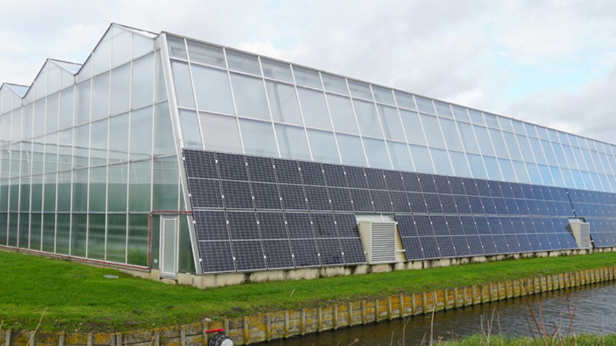 Gewächshaus mit Solarmodulen an der Seitenwand