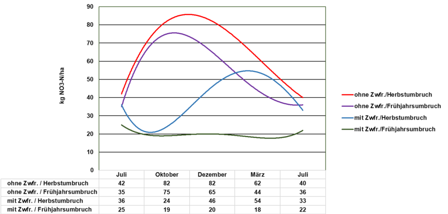 Einfluss verschiedener Zwischenfrüchte auf Nitrat im Boden