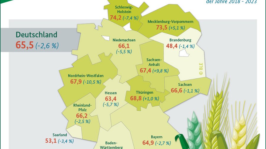 Infografik Getreideernte 2024