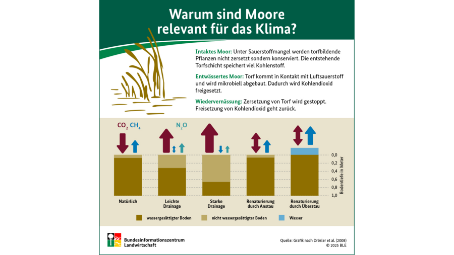 Infografik zum Thema warum sind Moore relevant für das Klima