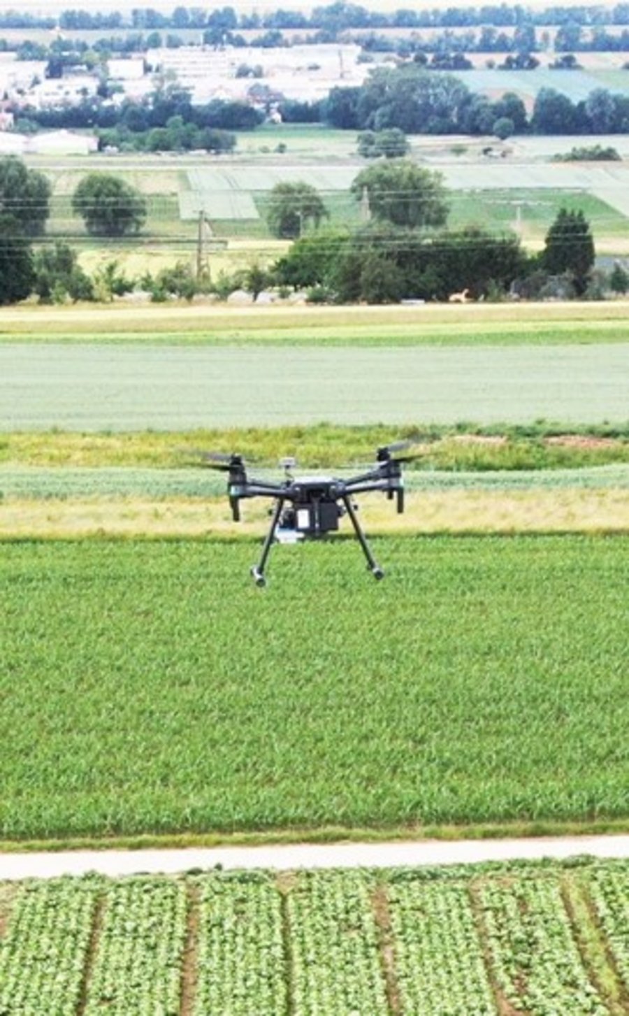 Die Drohne DJI Matrice 210 V2 während einer Feldbefliegung