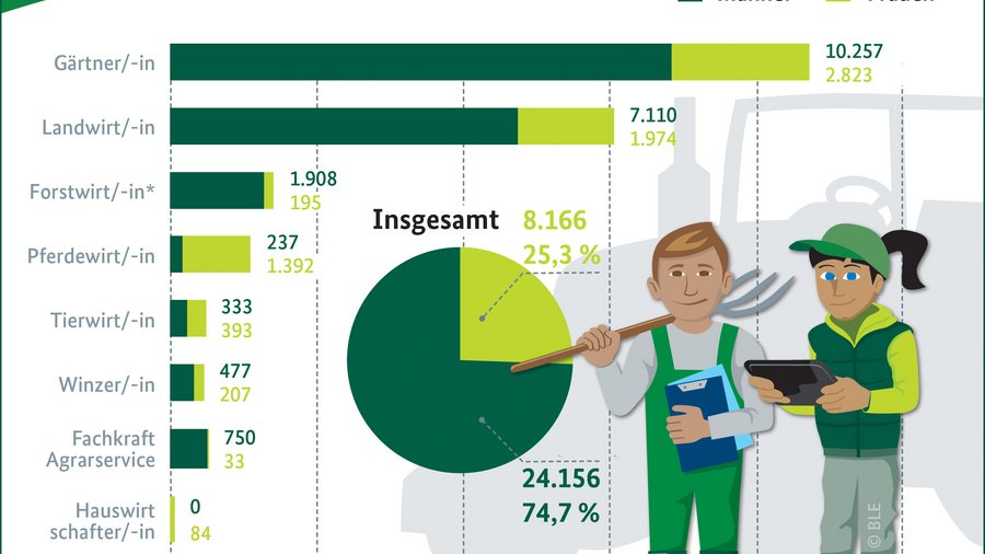 Infografik Azubis in Grünen Berufen