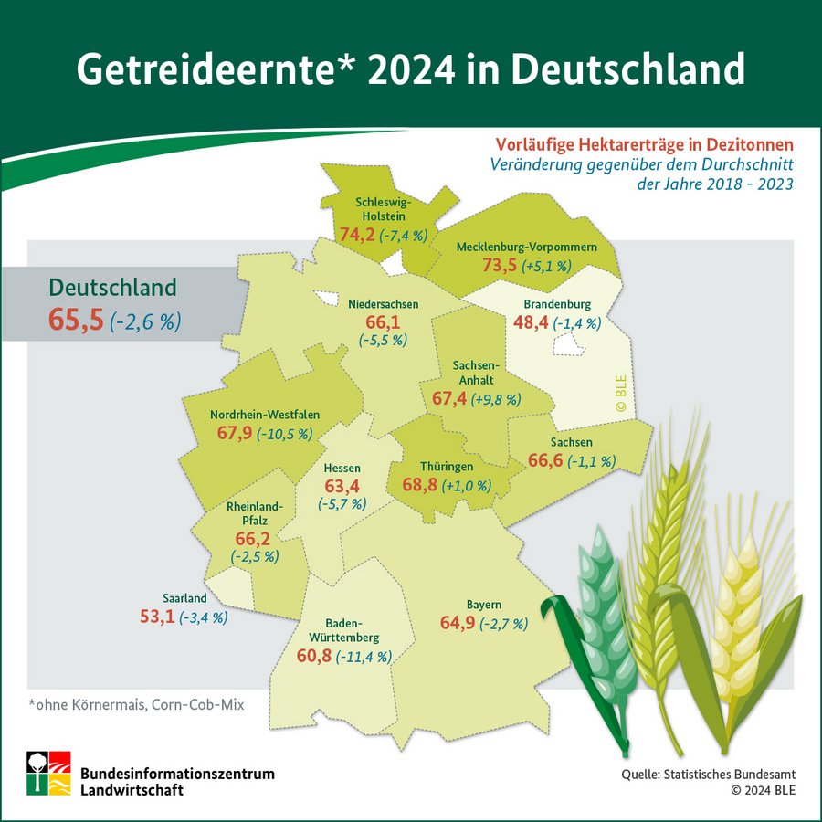 Infografik Getreideernte 2024