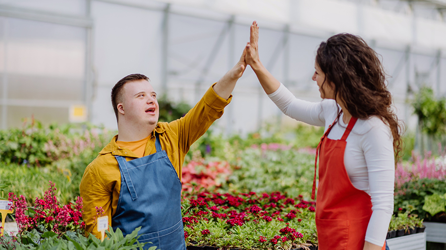 Mann mit Down-Syndrom und Frau stehen in Gartenbaubetrieb. Beide heben eine Hand und schlagen freundlich mit ausgestrecktem Arm die Hände gegeneinander.