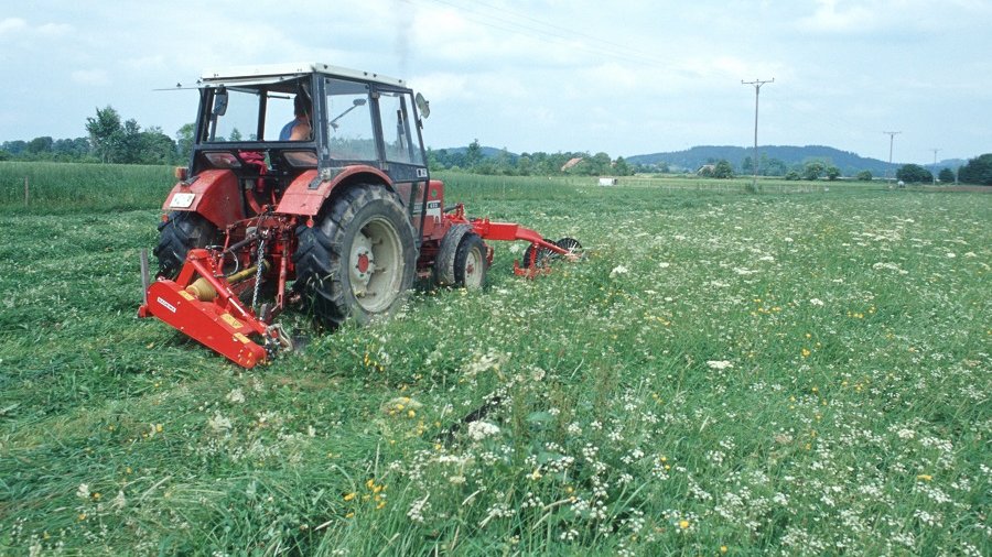 Insektenfreundliches Mähen von Grünland mit einem Messerbalken